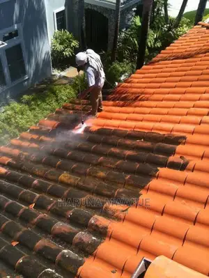 Paver Cleaning, Gutters, Stones, Pressure Wash