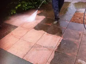 Paver Cleaning, Gutters, Stones, Pressure Wash