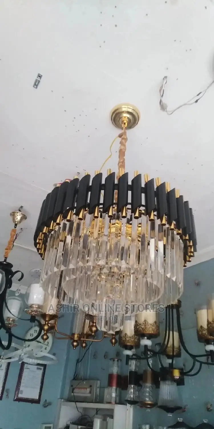 Black and Gold Ceiling Light