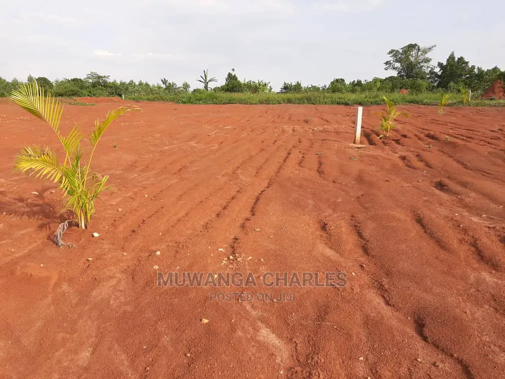 Plot for Sale in Buwate