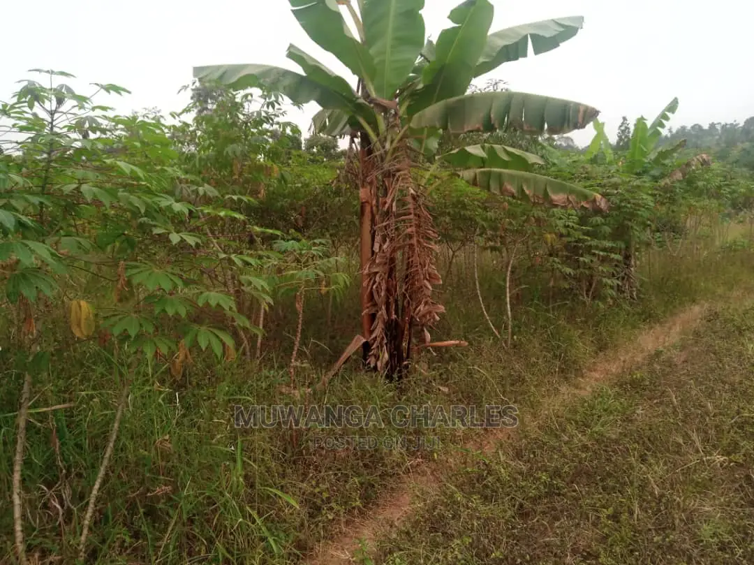 10acres for Sale in Zirobwe
