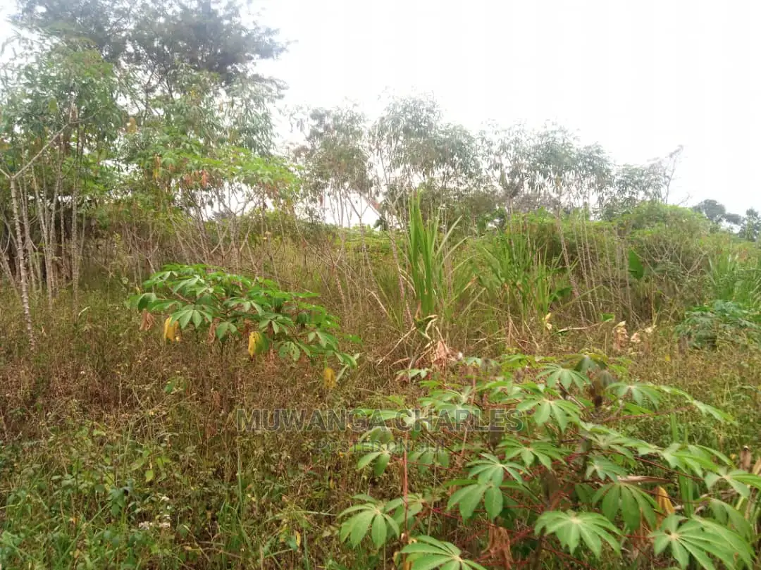 10acres for Sale in Zirobwe