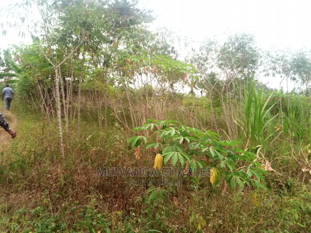 10acres for Sale in Zirobwe