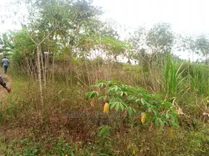 10acres for Sale in Zirobwe