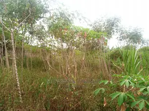 10acres for Sale in Zirobwe