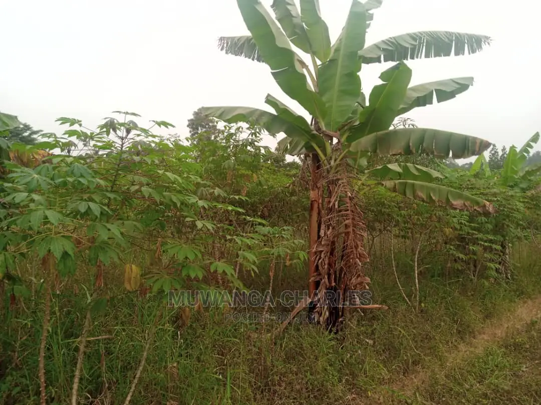 10acres for Sale in Zirobwe