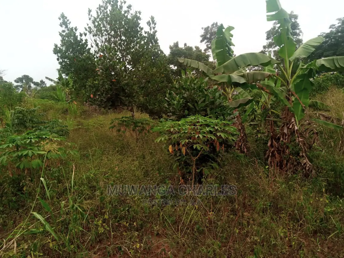 10acres for Sale in Zirobwe