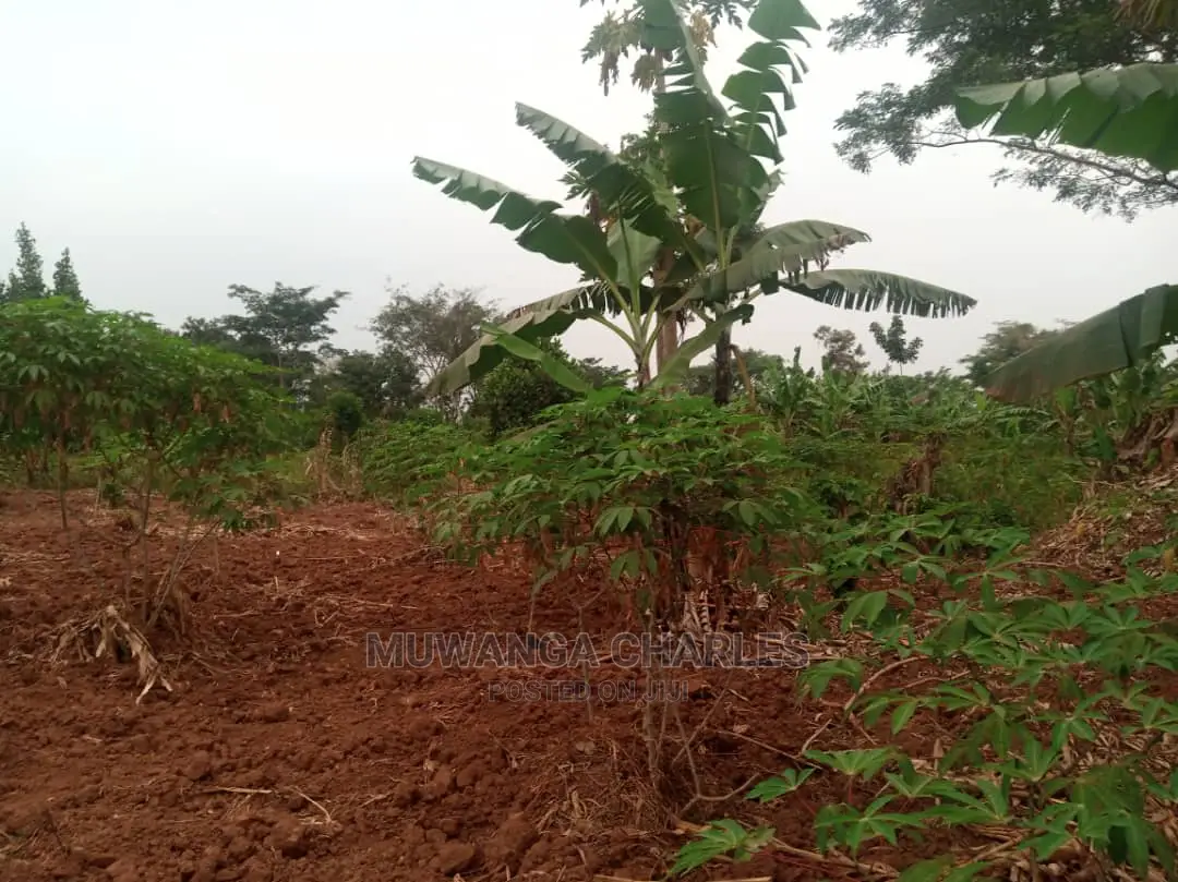 10acres for Sale in Zirobwe