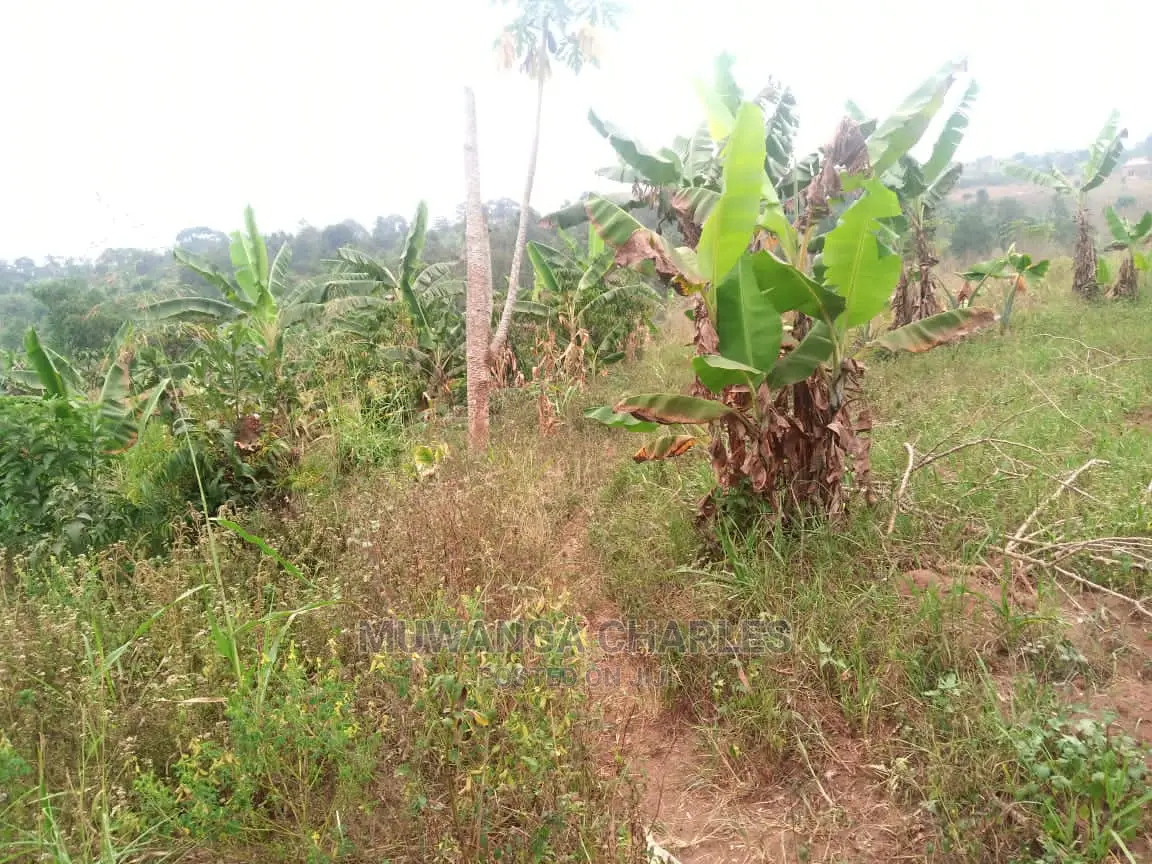 10acres for Sale in Zirobwe