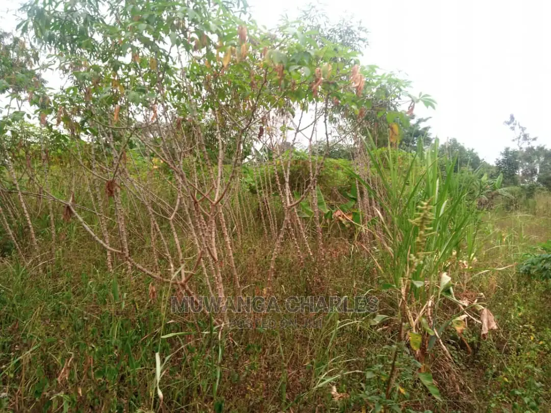 10acres for Sale in Zirobwe