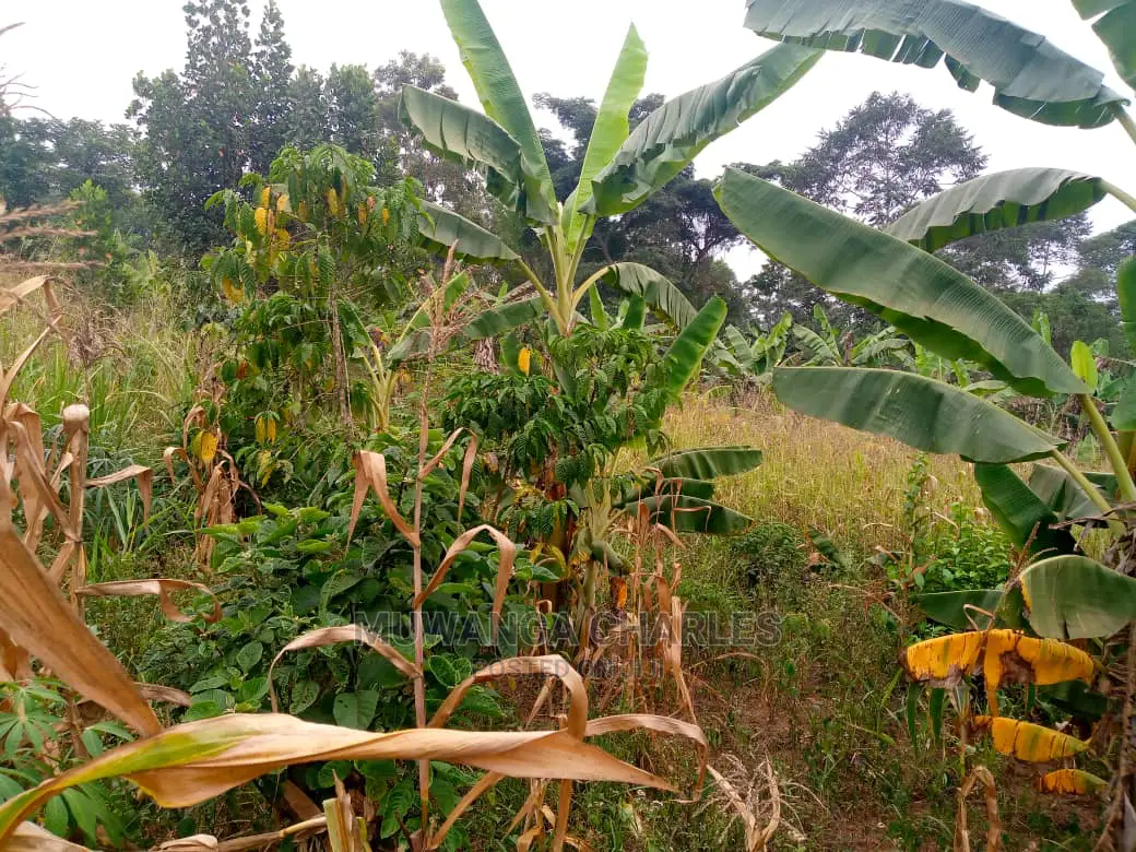 10acres for Sale in Zirobwe