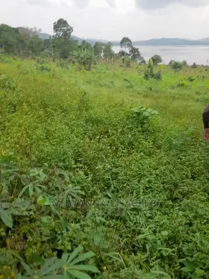5acres for Sale in Kikyusa