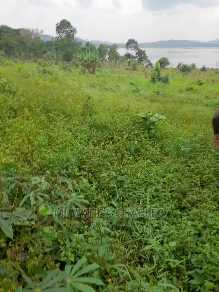 5acres for Sale in Kikyusa