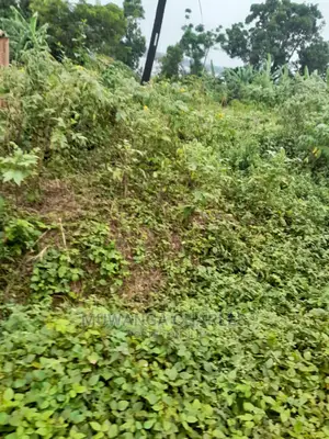 5acres for Sale in Kikyusa