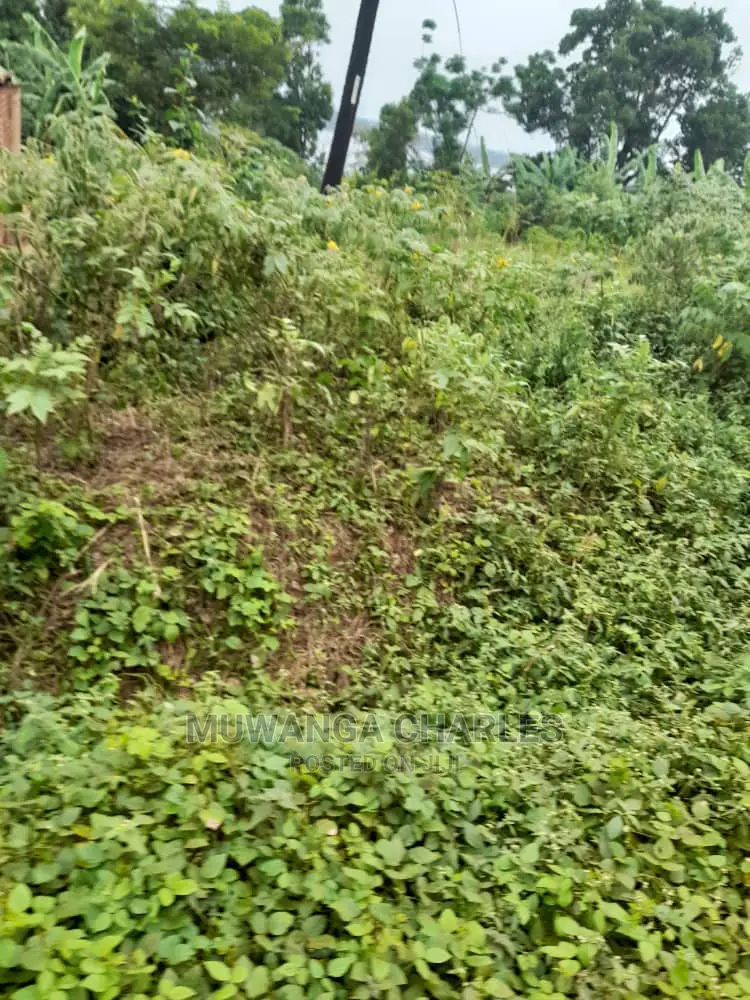 5acres for Sale in Kikyusa