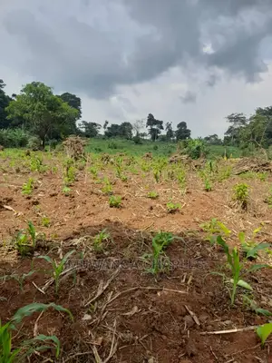 5acres for Sale in Kikyusa