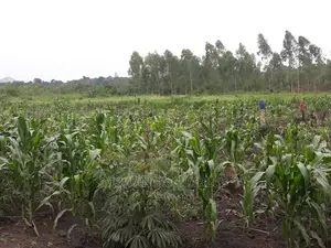 2acres for Sale in Wabutungulu
