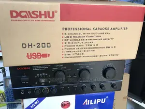 Daishu Professional Karaoke Amplifier