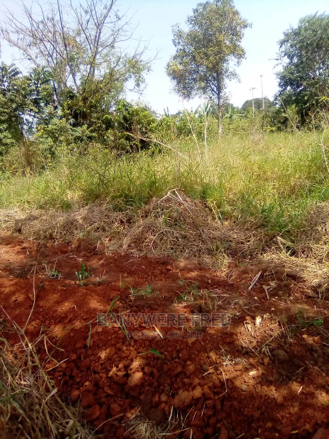 50/100 Plot for Sale in Kimwanyi
