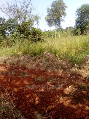 50/100 Plot for Sale in Kimwanyi