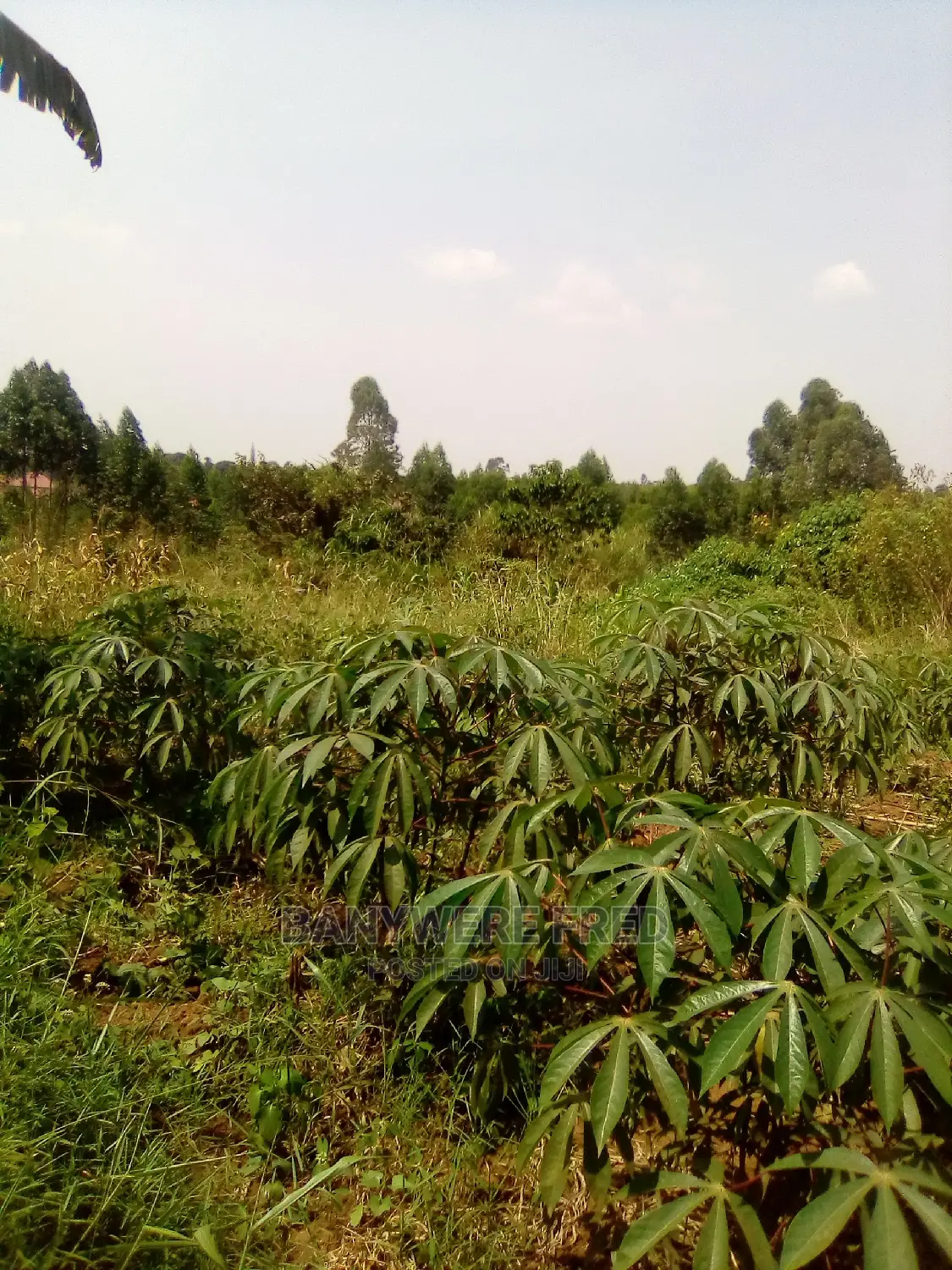 60/100 Plot for Sale in Nakarere