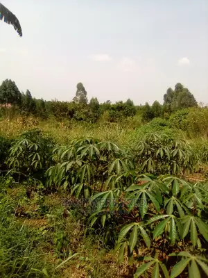 60/100 Plot for Sale in Nakarere