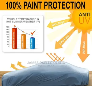 Unique Car Cover