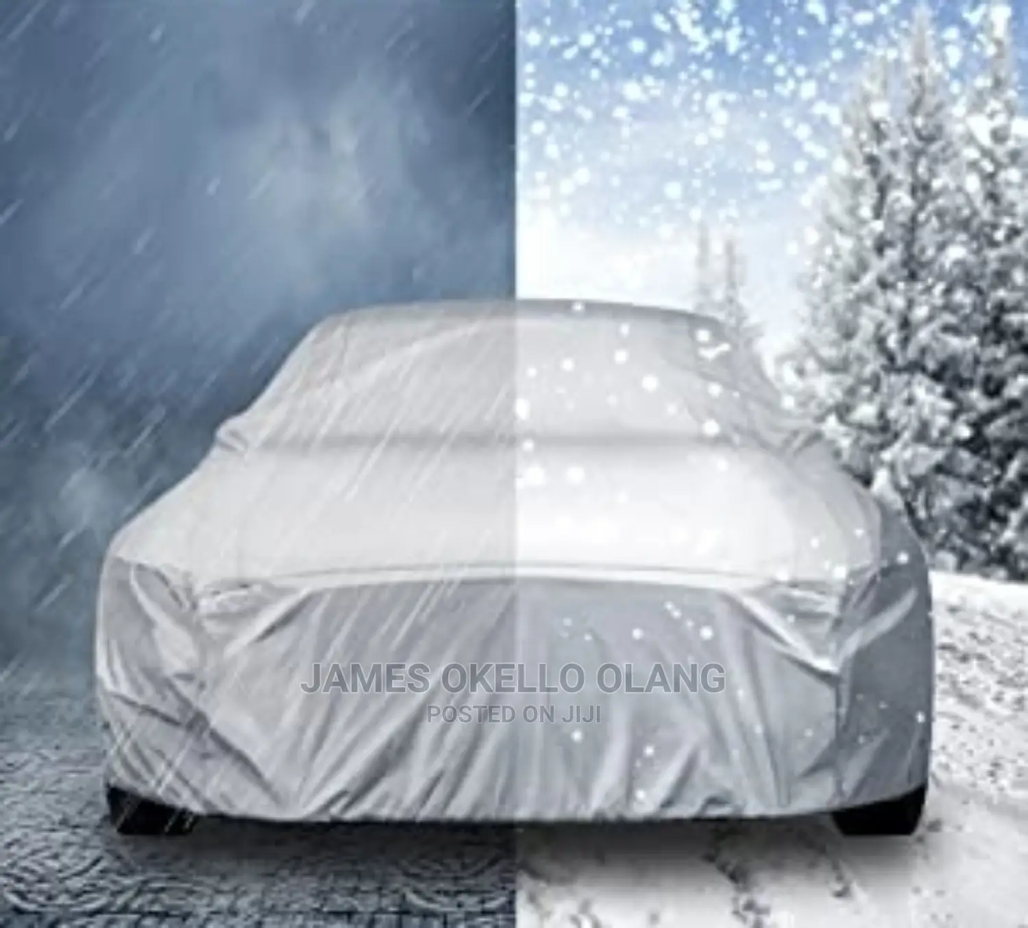 Unique Car Cover