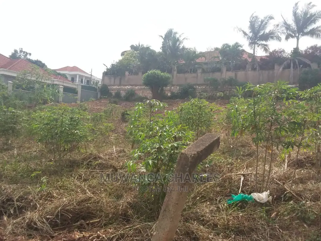 50by100ft for Sale in Kira
