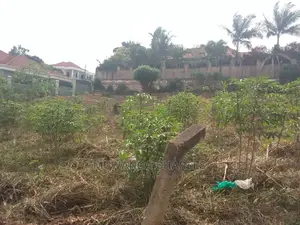 50by100ft for Sale in Kira