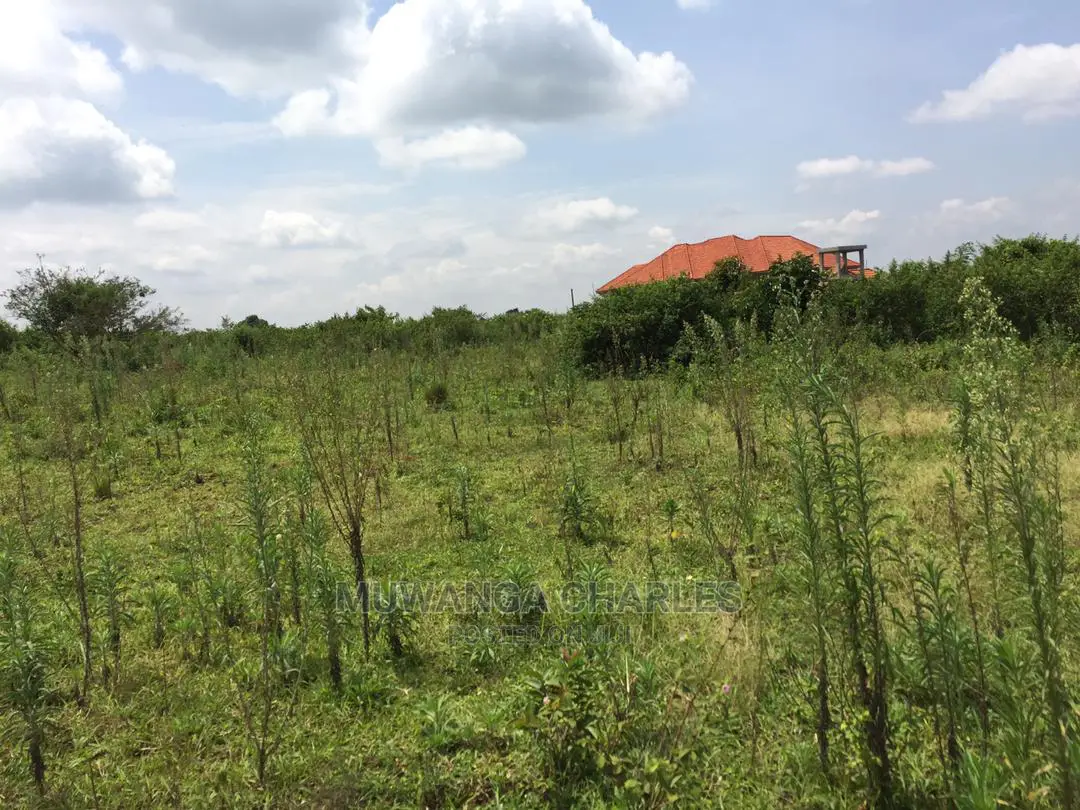 50by100ft for Sale in Kira