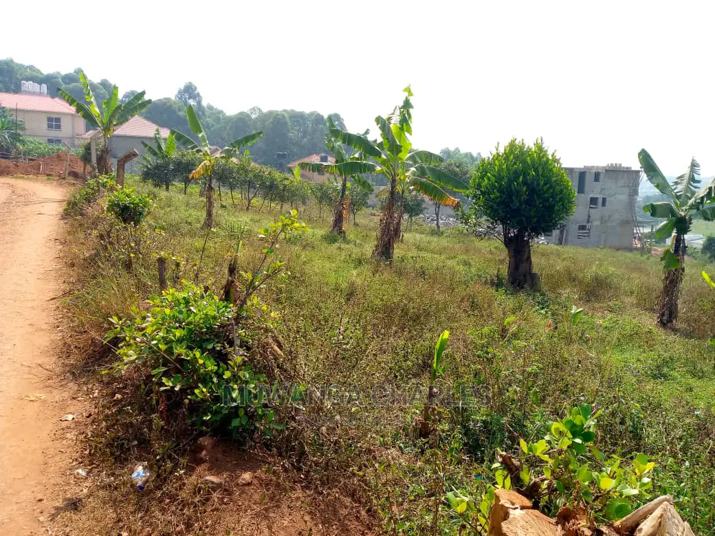 Plot For Sale In Kira