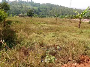Plot For Sale In Kira