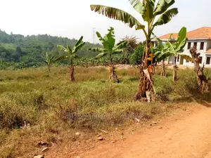 Plot For Sale In Kira