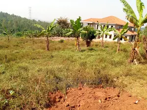 Plot For Sale In Kira