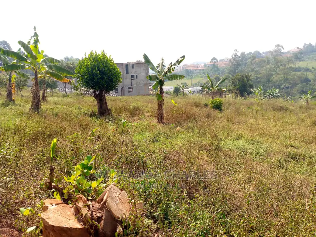 Plot For Sale In Kira