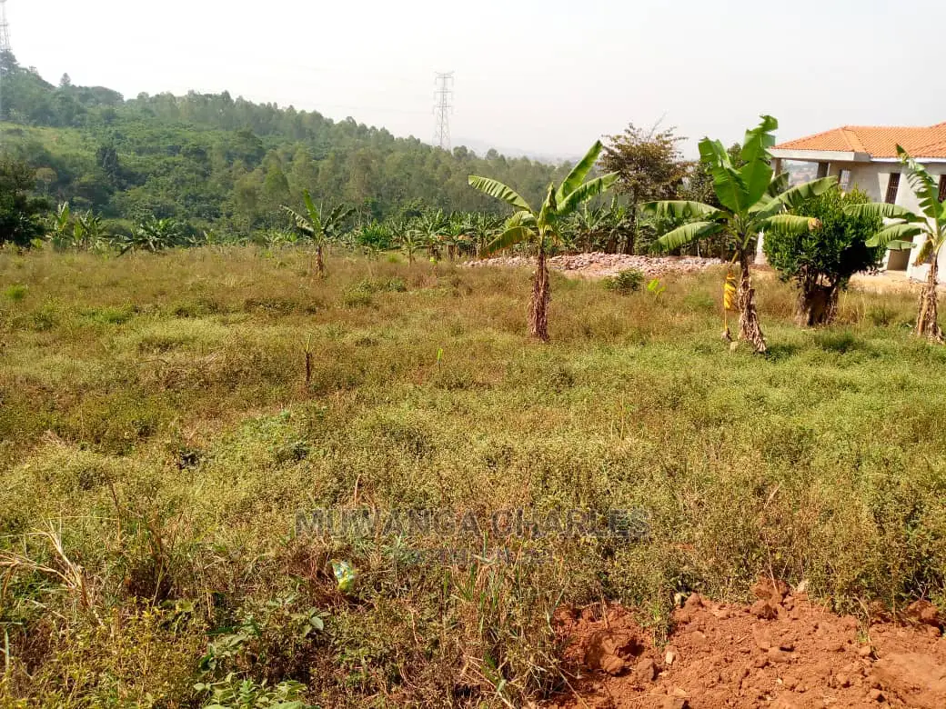 Plot For Sale In Kira