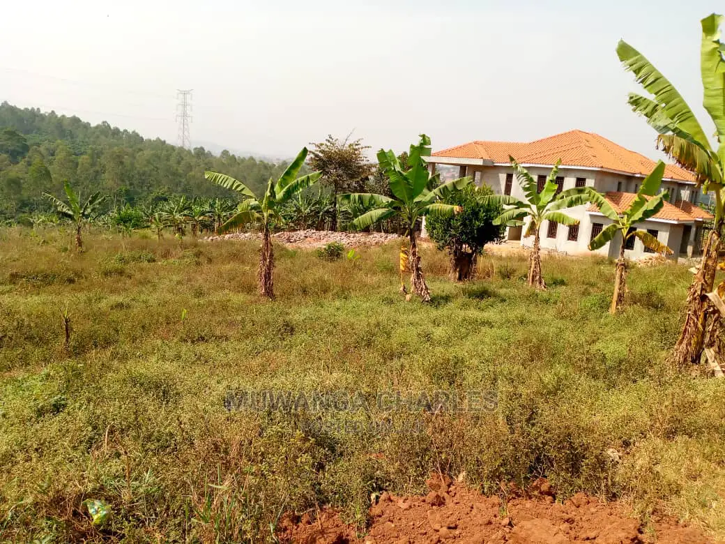 Plot For Sale In Kira