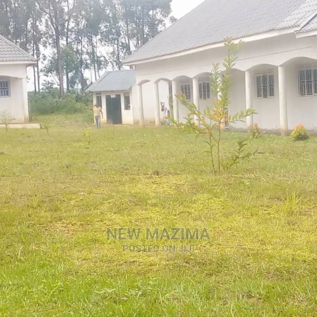 Brand New Built School on Quicksale in Heart of Nsangi Town