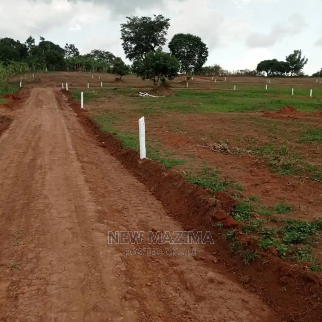 Very Brand New Sweet Estate With Ready Title Near Pari Pari