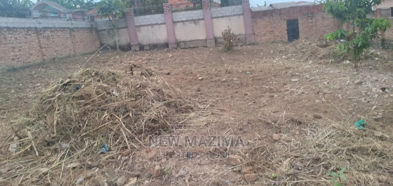Bunga Plot on Done Harm Lane