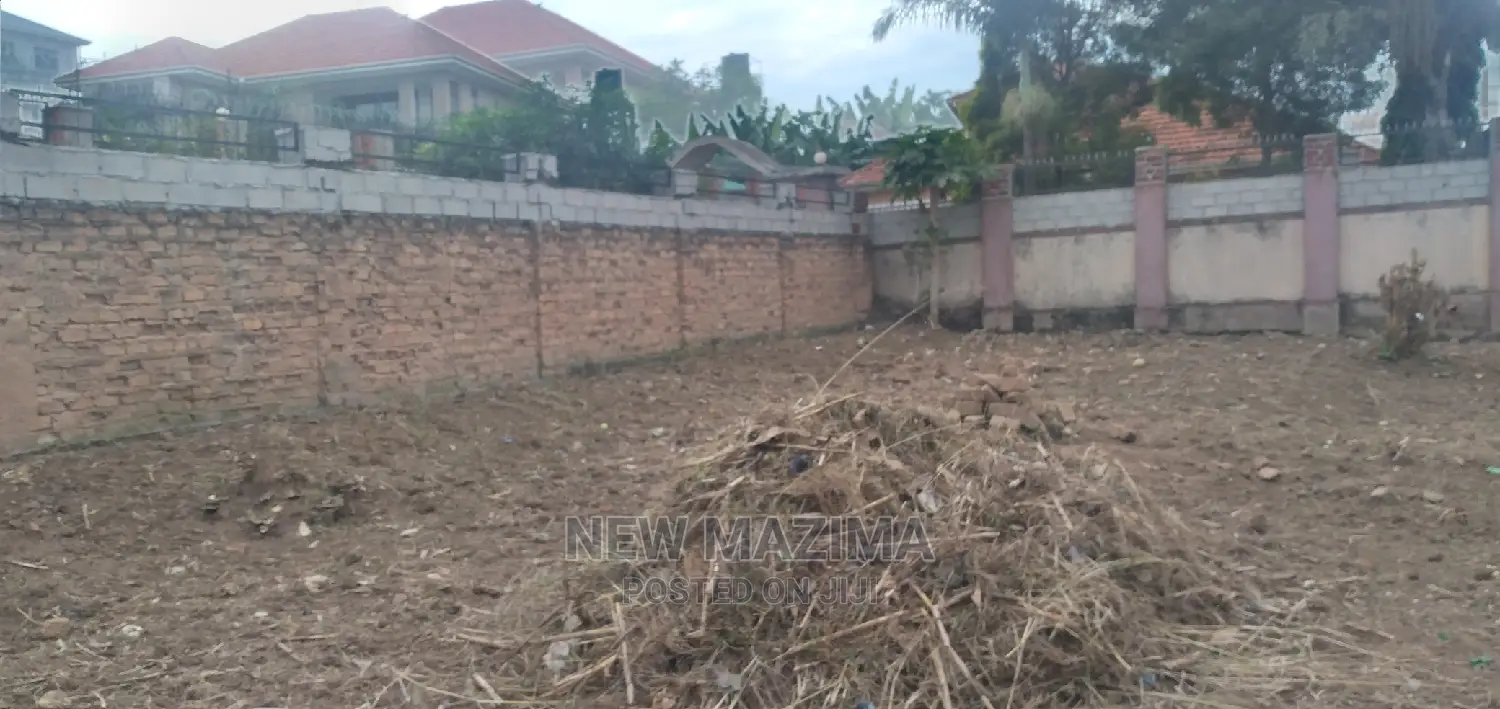 Bunga Plot on Done Harm Lane