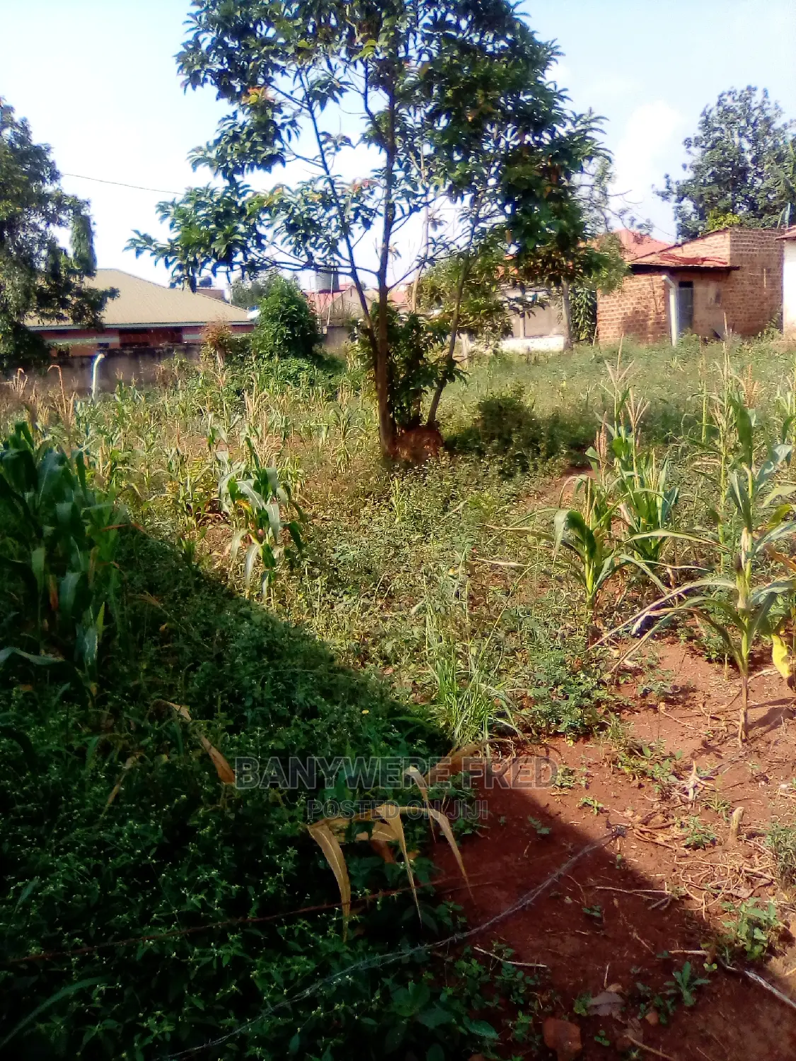 50/100 Plot for in Agenda on Namugongo Road