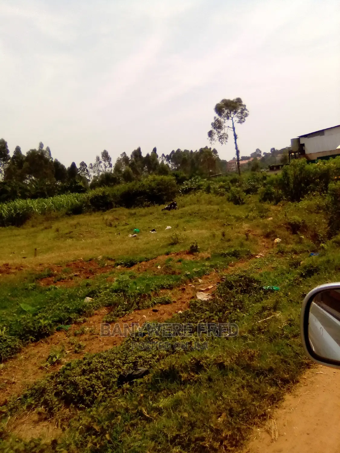 100/100 Plot for Sale in Mbalala