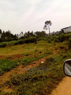 100/100 Plot for Sale in Mbalala
