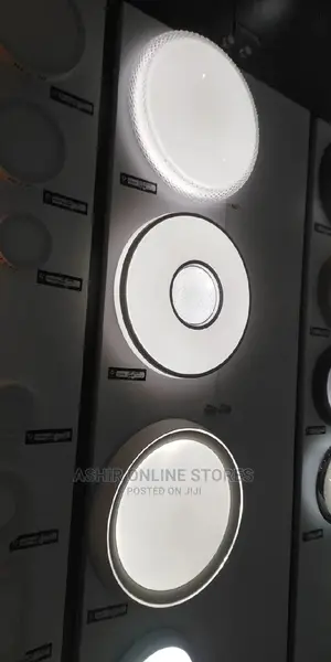 Unique Ceiling Lamp