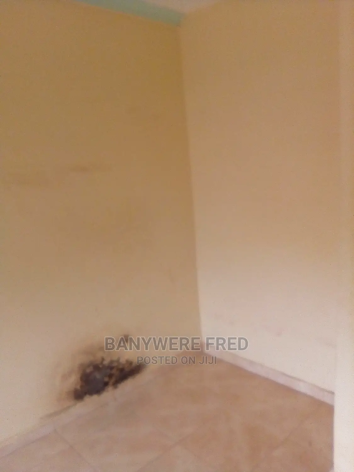 Furnished 3bdrm Bungalow in Kira for Rent