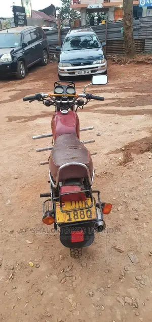 TVS 2019 Pink