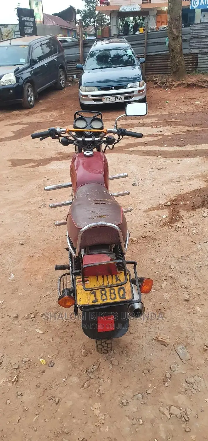 TVS 2019 Pink