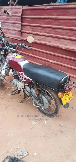 Bajaj Pulsar 220 F 2018 Beige